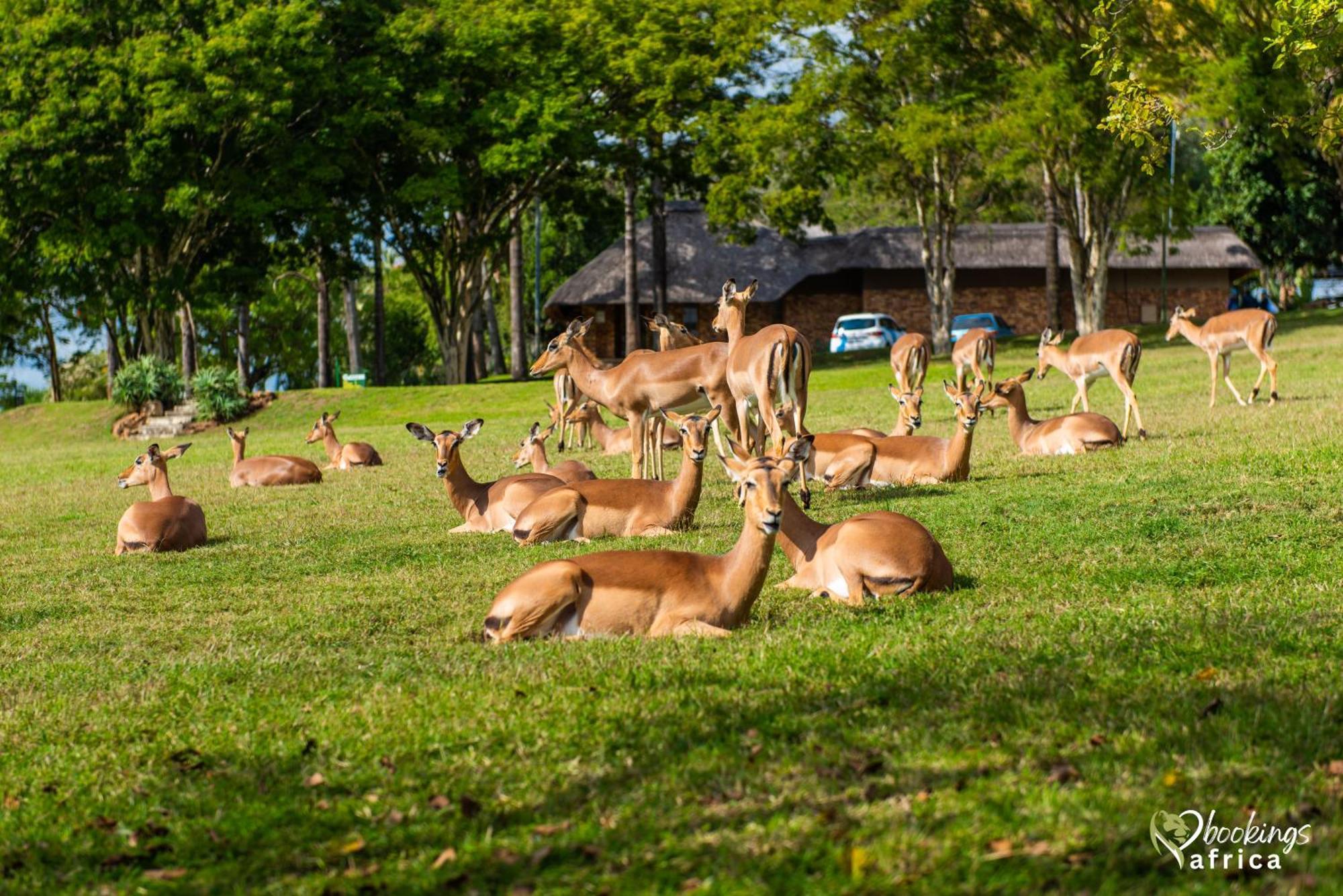 Kruger Park Lodge Unit No 252 With Private Pool Hazyview Εξωτερικό φωτογραφία